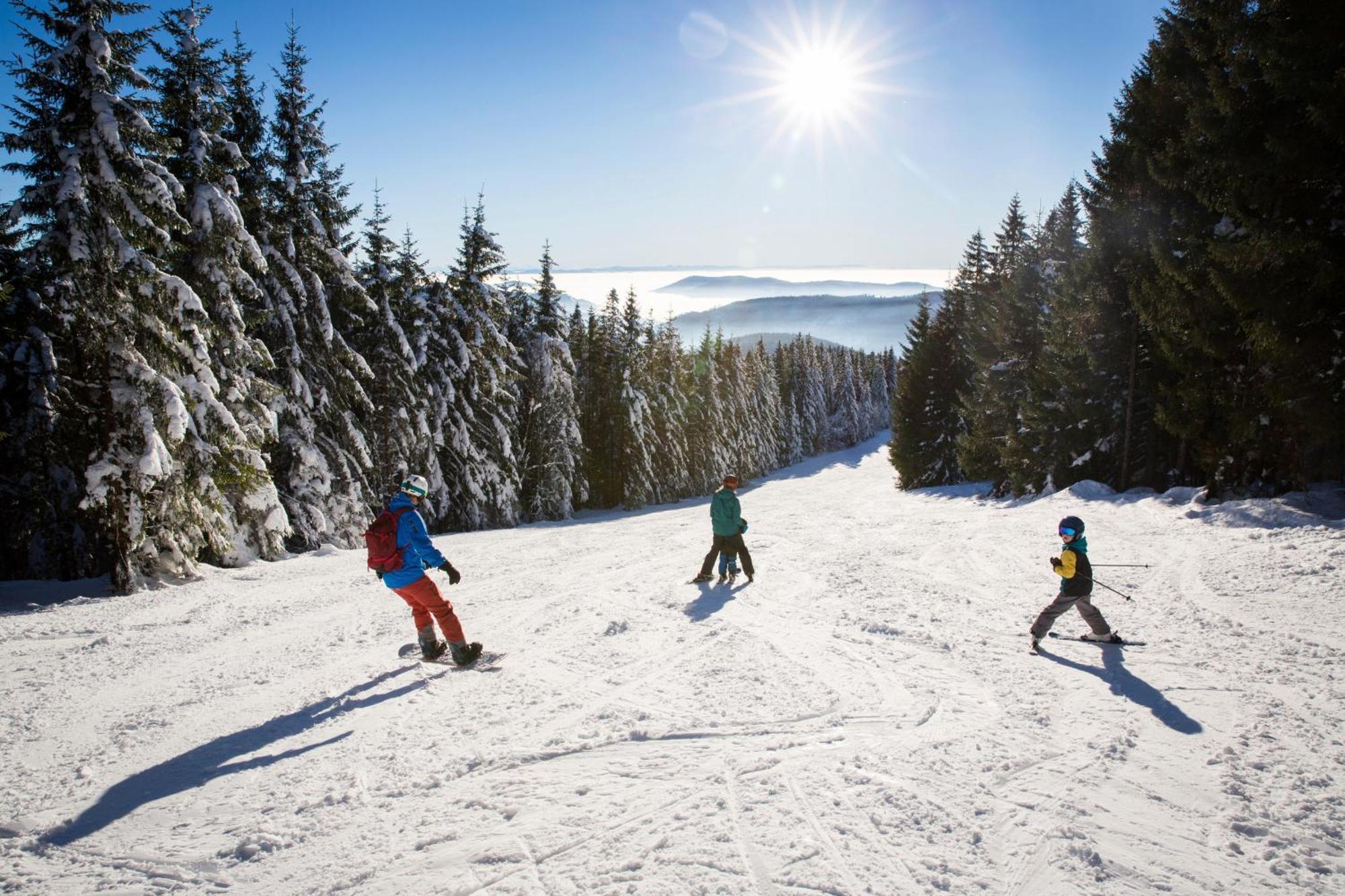 Drei Tannen - Wohnung 11 - Apartmenthaus, Titisee, Feldberg Zewnętrze zdjęcie
