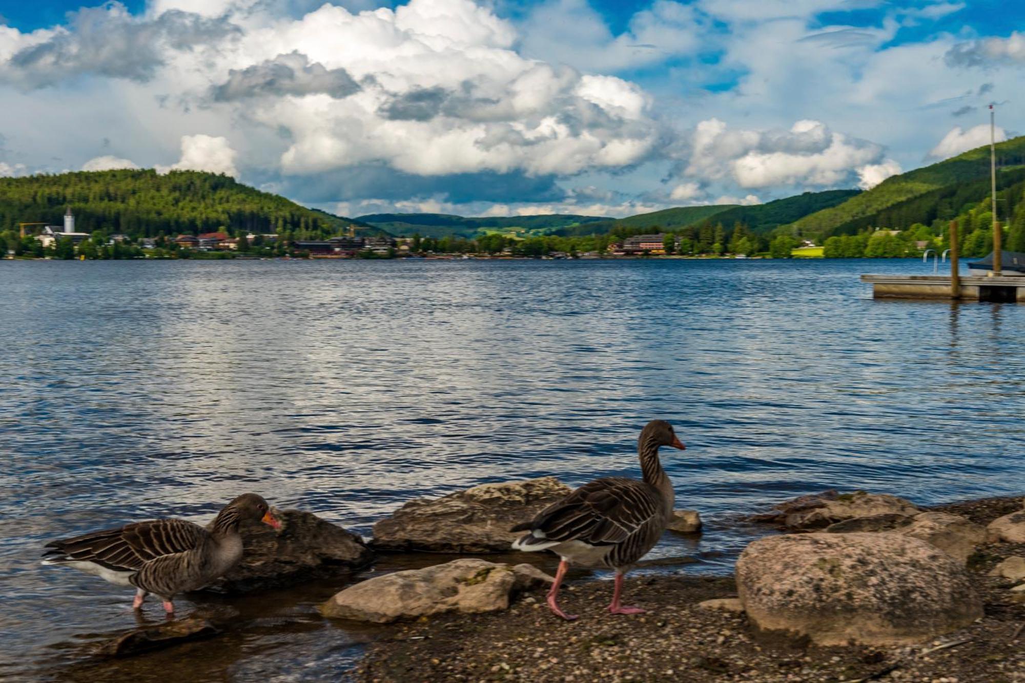 Drei Tannen - Wohnung 11 - Apartmenthaus, Titisee, Feldberg Zewnętrze zdjęcie